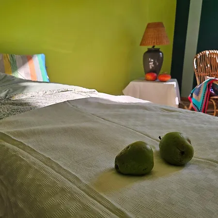 - Botanical Garden アパート